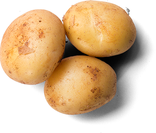 Alberta Potato Growers