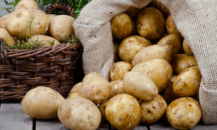 Table Fresh Potatoes